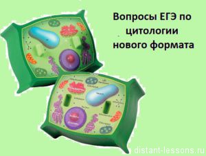 тест по цитологии формата ЕГЭ 2017 тест по цитологии формата ЕГЭ 2017